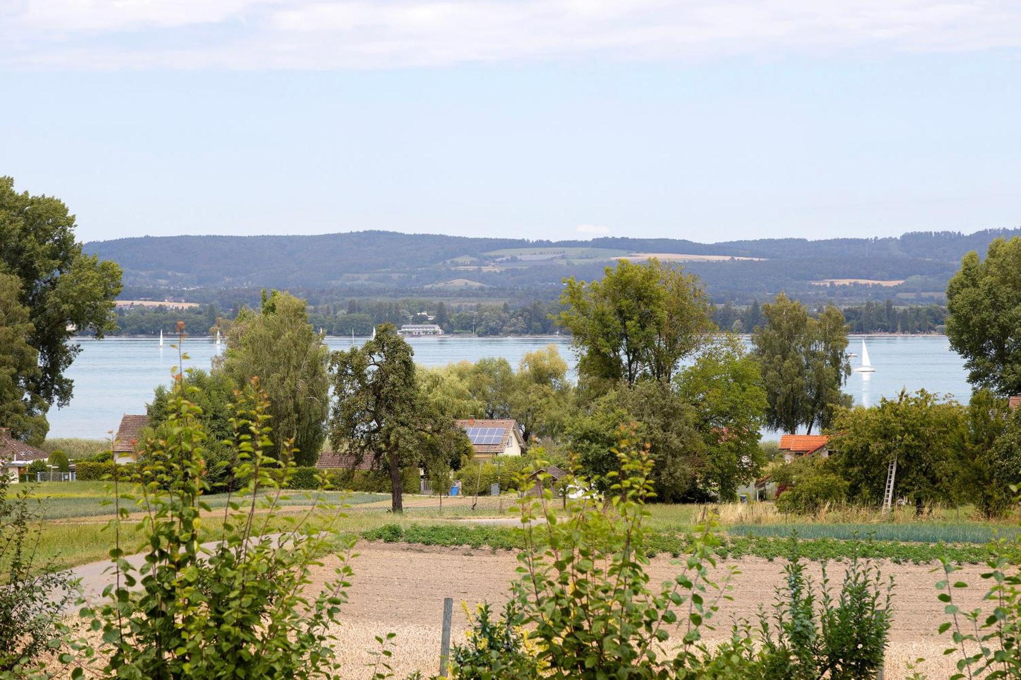 Muggelbude Am Bodensee Gaienhofen (Baden-Wurttemberg)