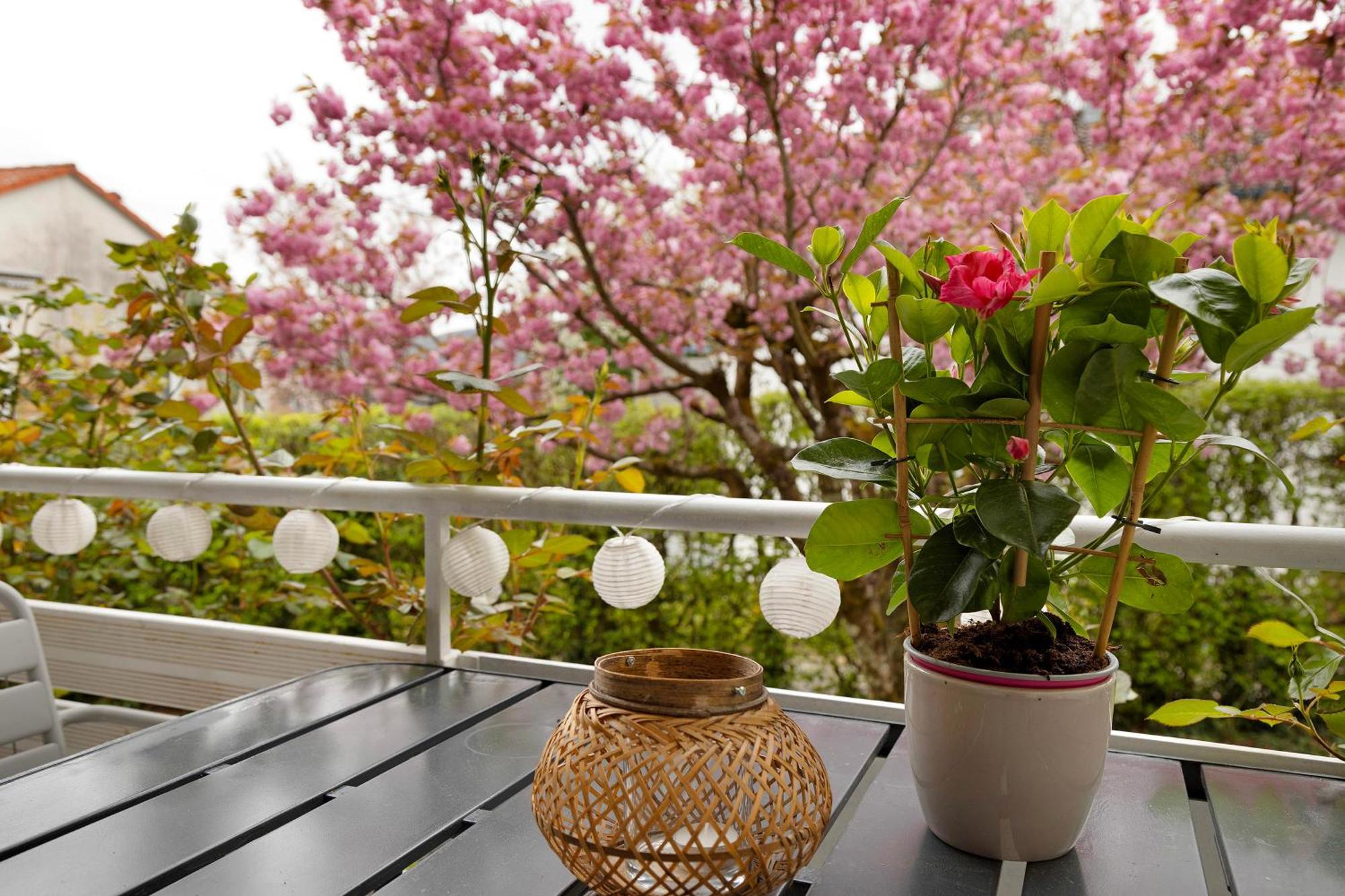 Apartment Muggelbude Am Bodensee *